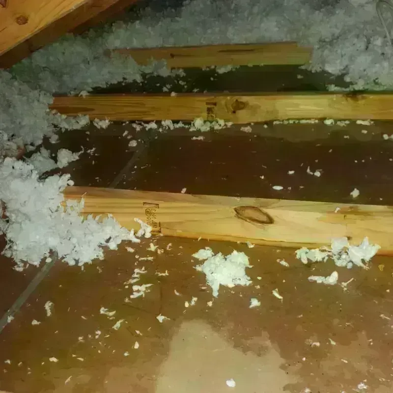 Attic Water Damage in Kosciusko County, IN